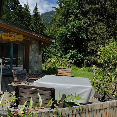 Chalet Les Sapins Bed & Breakfast Gryon